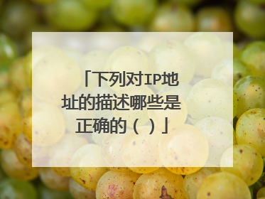 下列对IP地址的描述哪些是正确的()