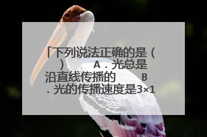 下列说法正确的是( ) A.光总是沿直线传播的 B.光的传播速度是3×10 5 m/s C.打雷时,闪