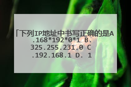 下列IP地址中书写正确的是A.168*192*0*1 B.325.255.231.0 C.192.168.1 D. 172.16.22.110