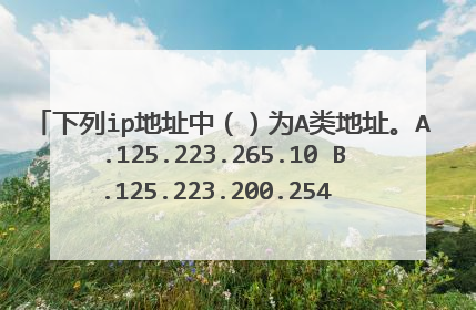 下列ip地址中（）为A类地址。A.125.223.265.10 B.125.223.200.254 C.152.223.265.10 D.192.168.0.1
