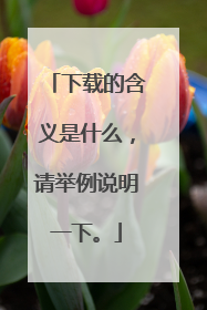 下载的含义是什么,请举例说明一下。