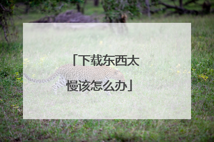 下载东西太慢该怎么办