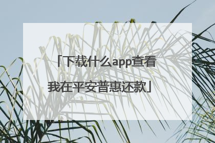 下载什么app查看我在平安普惠还款