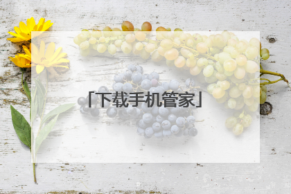 下载手机管家