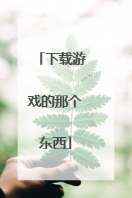 下载游戏的那个东西