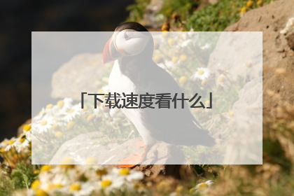 下载速度看什么