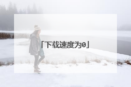 下载速度为0