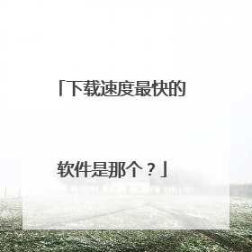 下载速度最快的软件是那个?