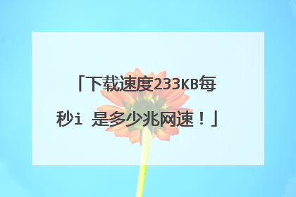 下载速度233KB每秒i 是多少兆网速!