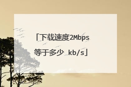 下载速度2Mbps 等于多少 kb/s