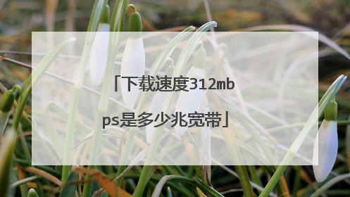 下载速度312mbps是多少兆宽带