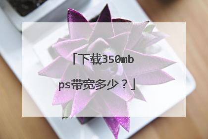 下载350mbps带宽多少？