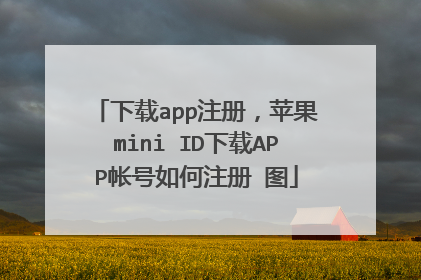 下载app注册，苹果mini ID下载APP帐号如何注册 图