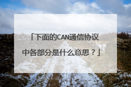 下面的CAN通信协议中各部分是什么意思?