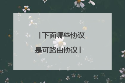 下面哪些协议是可路由协议