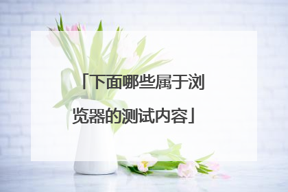 下面哪些属于浏览器的测试内容