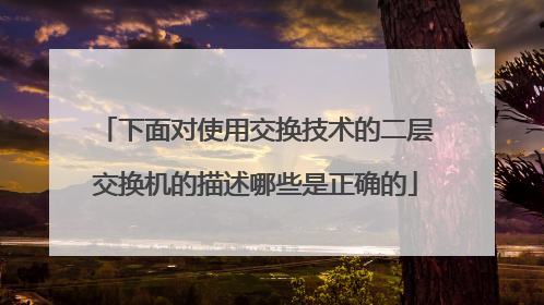 下面对使用交换技术的二层交换机的描述哪些是正确的