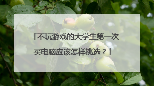 不玩游戏的大学生第一次买电脑应该怎样挑选？