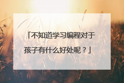 不知道学习编程对于孩子有什么好处呢?