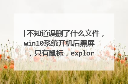不知道误删了什么文件，win10系统开机后黑屏，只有鼠标，explorer.exe无法运行？