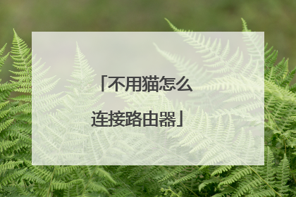 不用猫怎么连接路由器