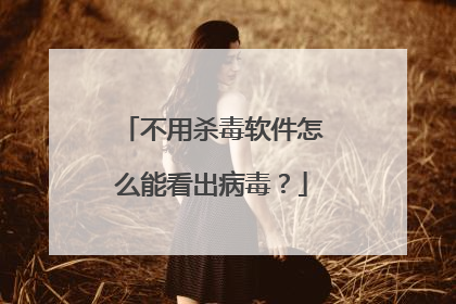不用杀毒软件怎么能看出病毒？
