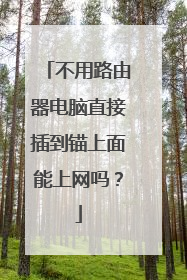 不用路由器电脑直接插到锚上面能上网吗？