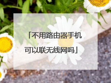 不用路由器手机可以联无线网吗