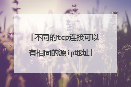 不同的tcp连接可以有相同的源ip地址