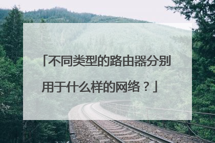 不同类型的路由器分别用于什么样的网络？