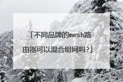 不同品牌的mesh路由器可以混合组网吗?