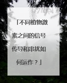 不同植物激素之间的信号传导和串扰如何运作？