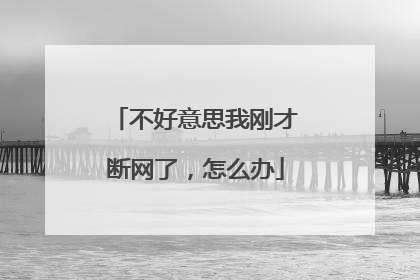 不好意思我刚才断网了，怎么办