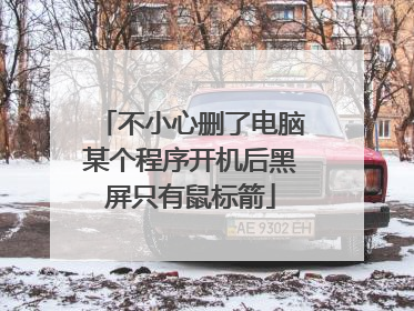 不小心删了电脑某个程序开机后黑屏只有鼠标箭