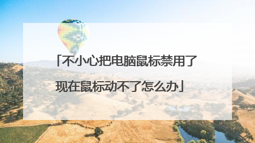 不小心把电脑鼠标禁用了现在鼠标动不了怎么办