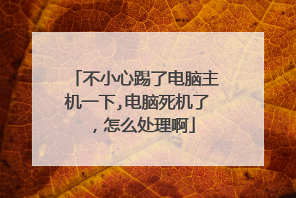不小心踢了电脑主机一下,电脑死机了,怎么处理啊