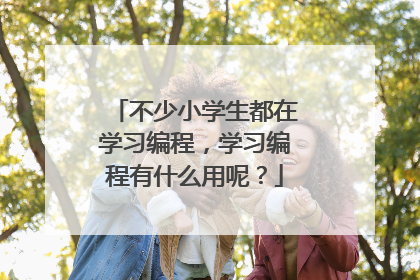 不少小学生都在学习编程,学习编程有什么用呢?