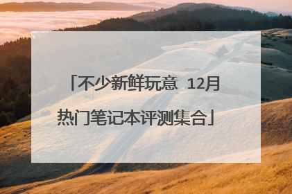 不少新鲜玩意 12月热门笔记本评测集合