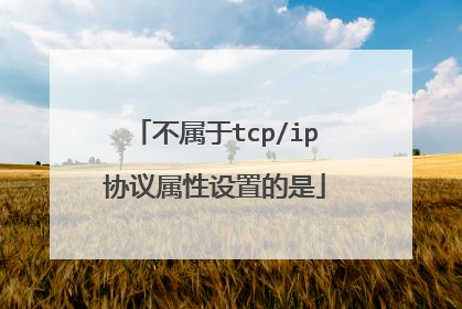 不属于tcp/ip协议属性设置的是