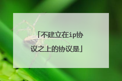 不建立在ip协议之上的协议是