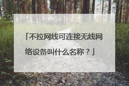 不拉网线可连接无线网络设备叫什么名称？