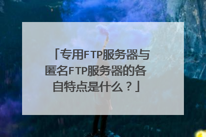 专用FTP服务器与匿名FTP服务器的各自特点是什么？