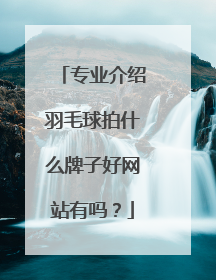 专业介绍羽毛球拍什么牌子好网站有吗？