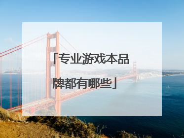 专业游戏本品牌都有哪些