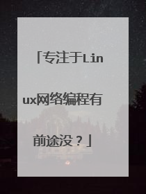 专注于Linux网络编程有前途没?