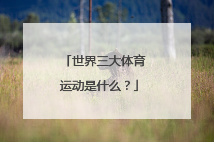 世界三大体育运动是什么？