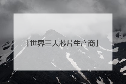 世界三大芯片生产商