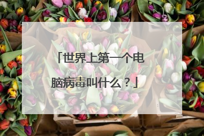 世界上第一个电脑病毒叫什么?