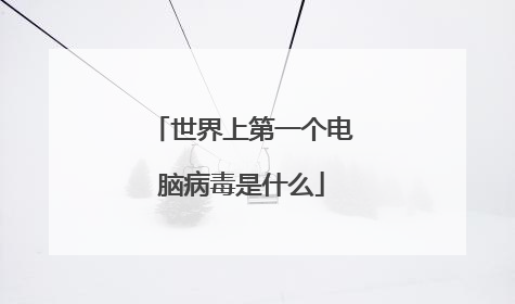 世界上第一个电脑病毒是什么