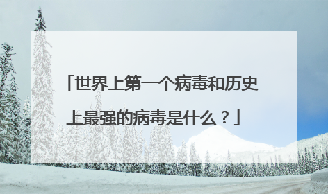 世界上第一个病毒和历史上最强的病毒是什么?